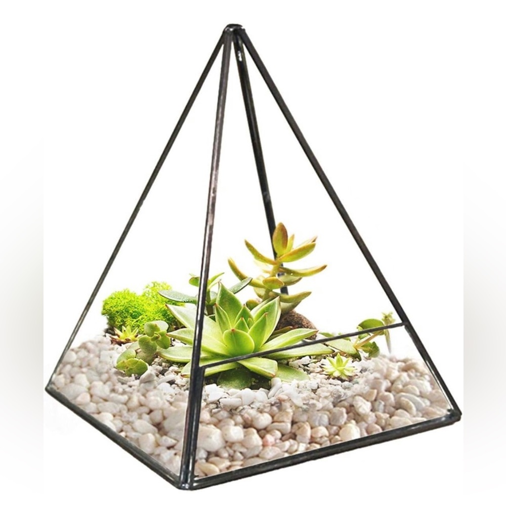 Triangle Geometric Terrarium